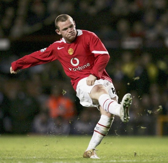 巴切极为看 巴切极为看